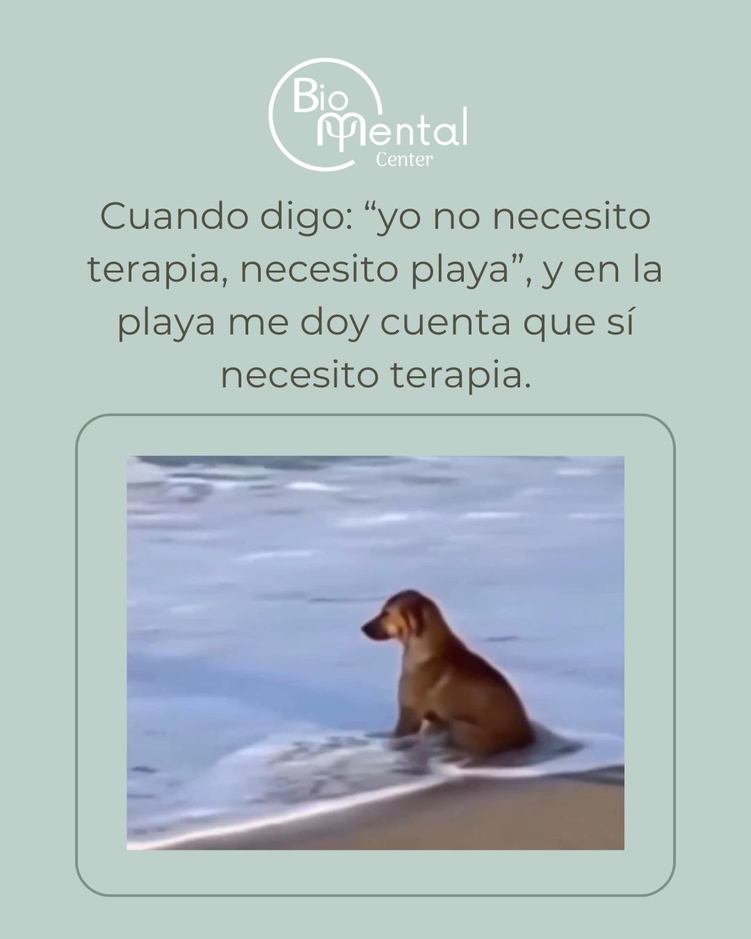 Meme terapia vs playa